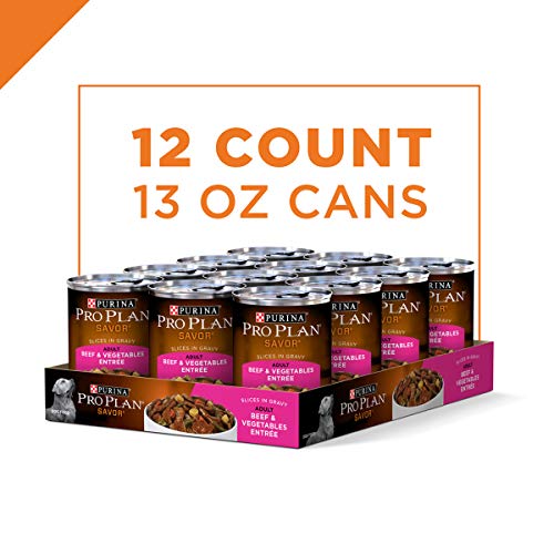12 Best Dog Food for Picky Eaters and Dogs That Won't Eat of 2020