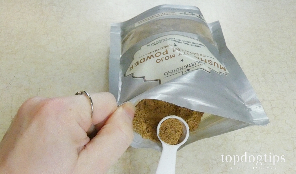 Review Holistic Hound Hemp Balm & Mushroom Powder for Dogs