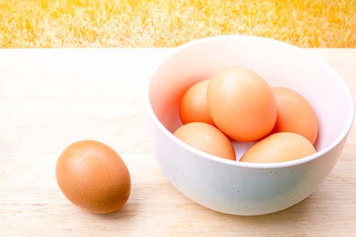How to Cook Eggs for Dogs Top Dog Tips