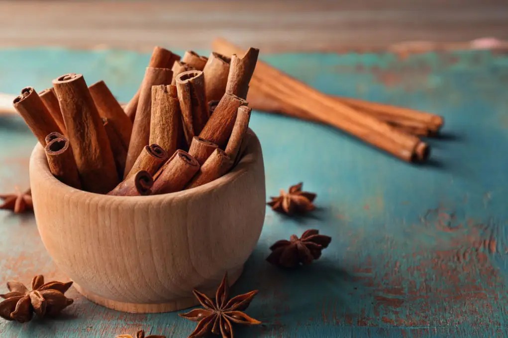 Cinnamon for Dogs Uses, Benefits and Side Effects