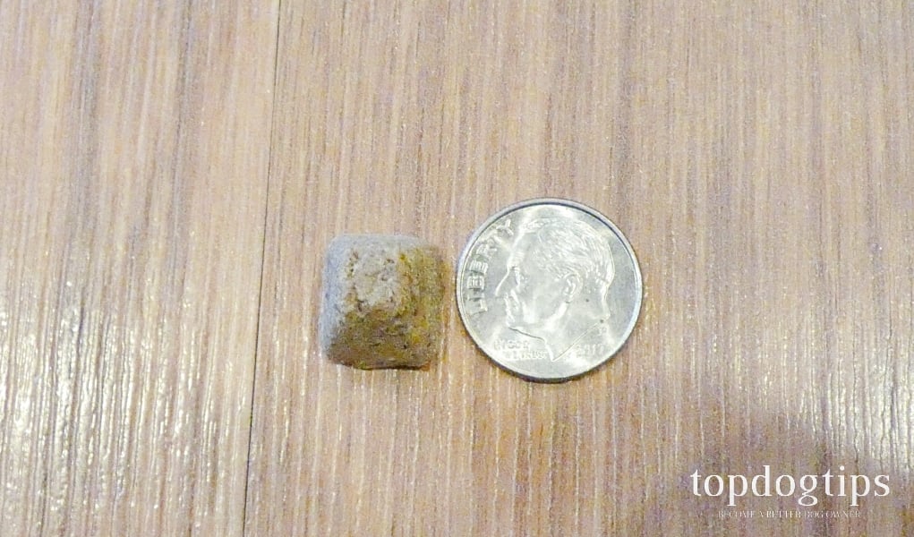 Review Jiminy’s Insect Protein Dog Food LaptrinhX / News