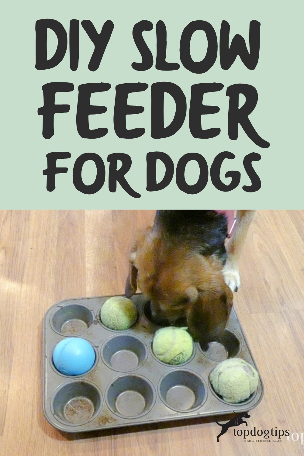 Easy DIY Slow Feeder for Dogs Top Dog Tips
