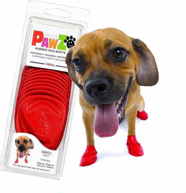 Top 6 Best Dog Booties for Dogs That Stay On (2021 Update)
