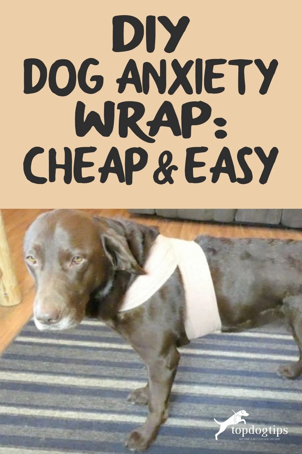 DIY Dog Anxiety Wrap Cheap & Easy Top Dog Tips