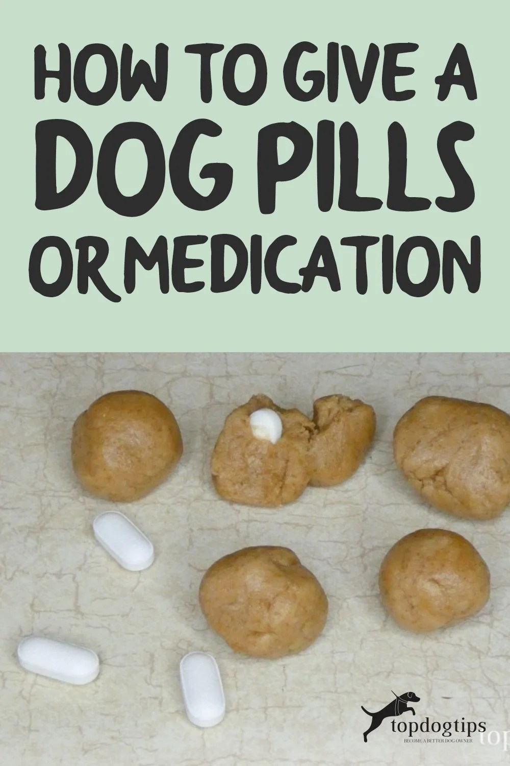 How To Give A Dog Pills or Medication Top Dog Tips
