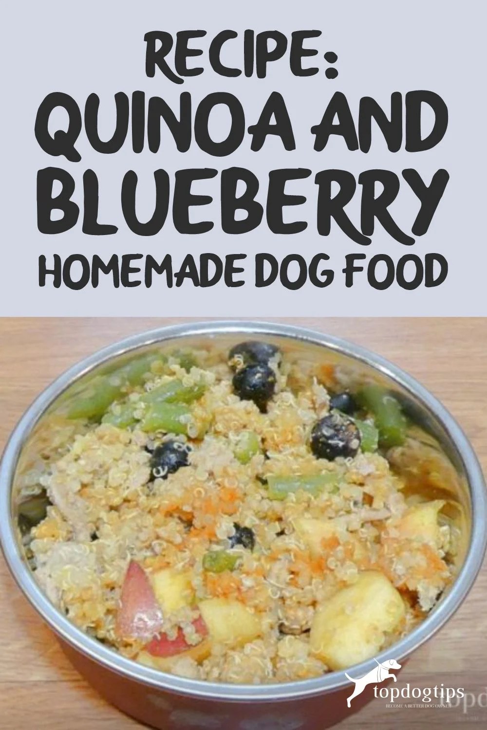 Recipe Quinoa and Blueberry Homemade Dog Food Top Dog Tips