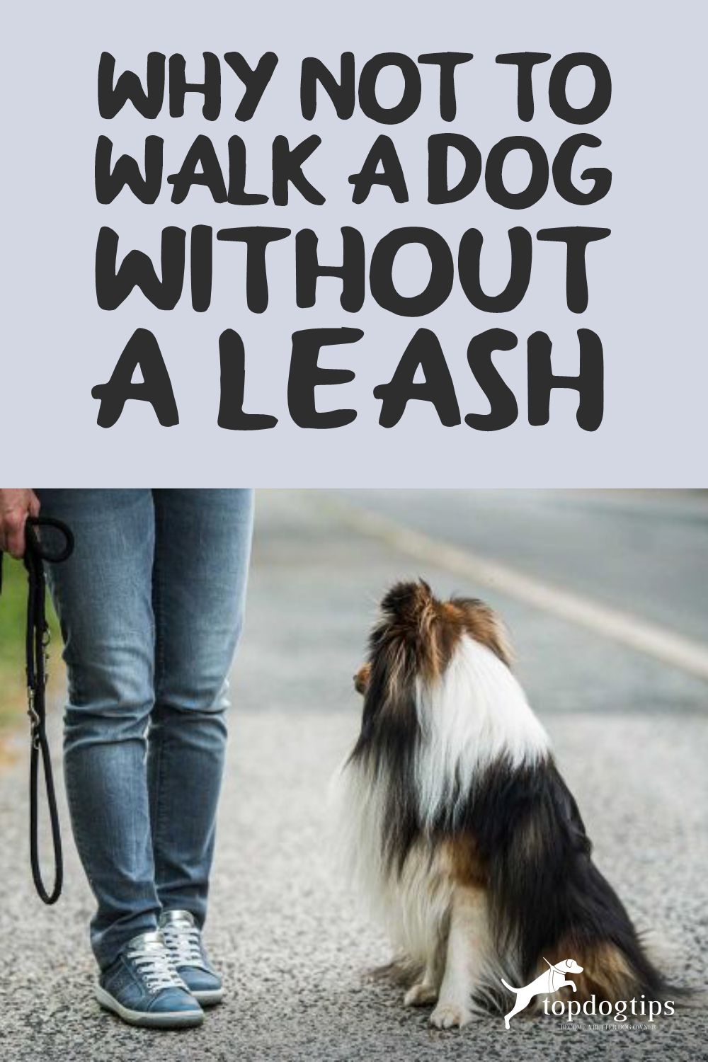 Is It Against The Law To Walk Your Dog Without A Leash