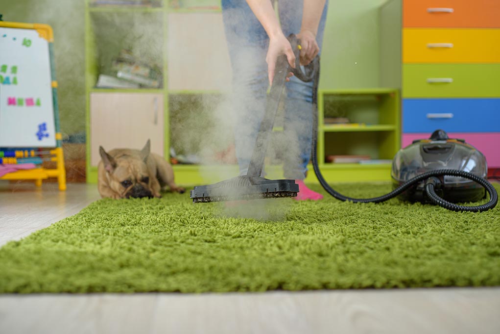 What Is A Safe Carpet Cleaner For Pets at Tonya Asay blog