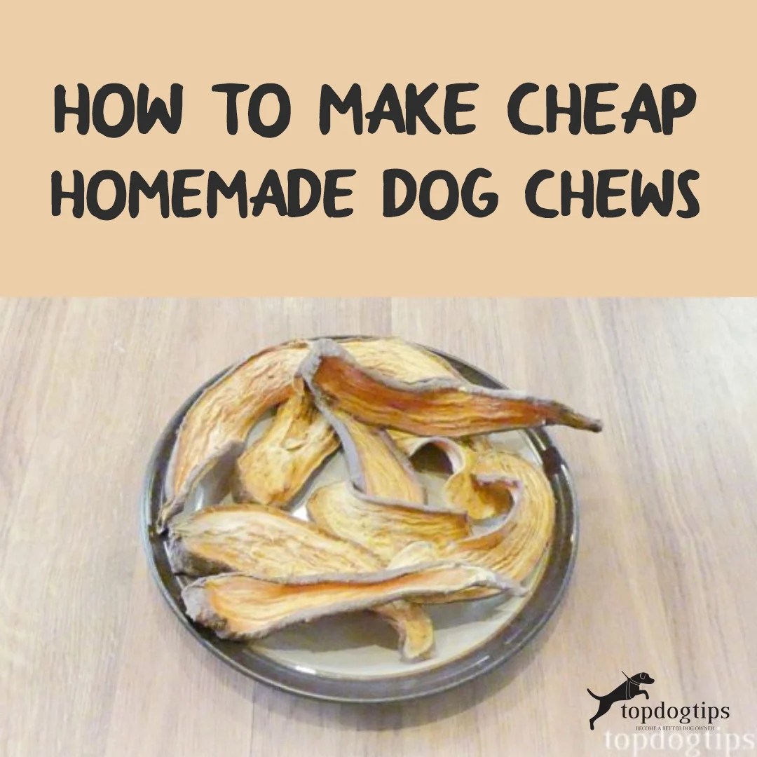 How To Make Cheap Homemade Dog Chews Top Dog Tips