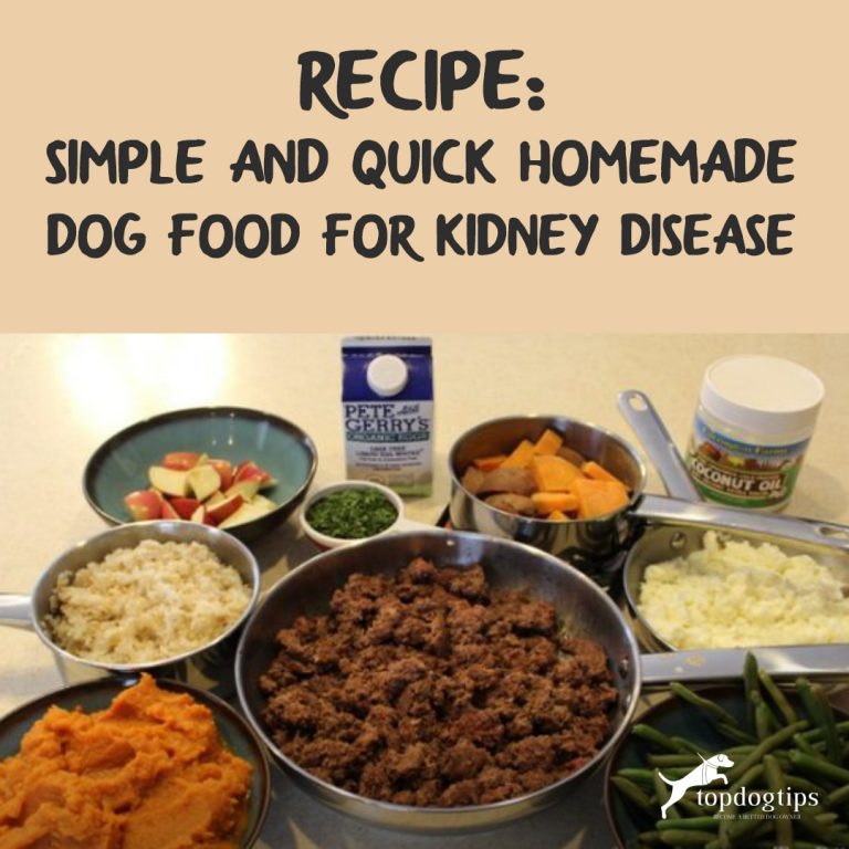 Homemade Food For Dogs With Kidney Disease Just For You