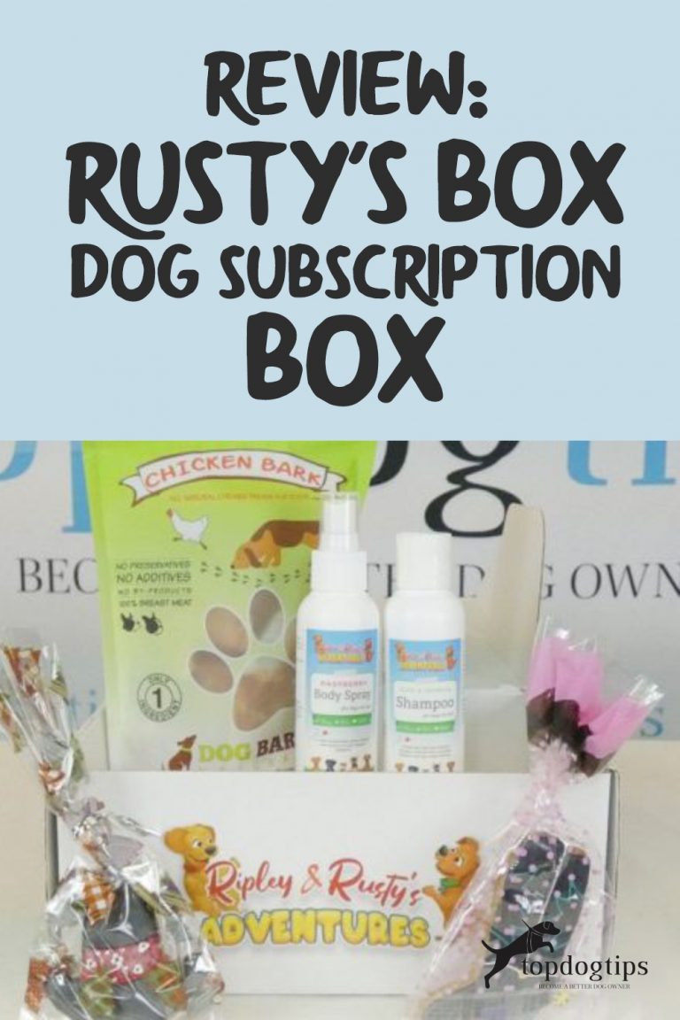 Review Rusty's Box Dog Subscription Box Top Dog Tips