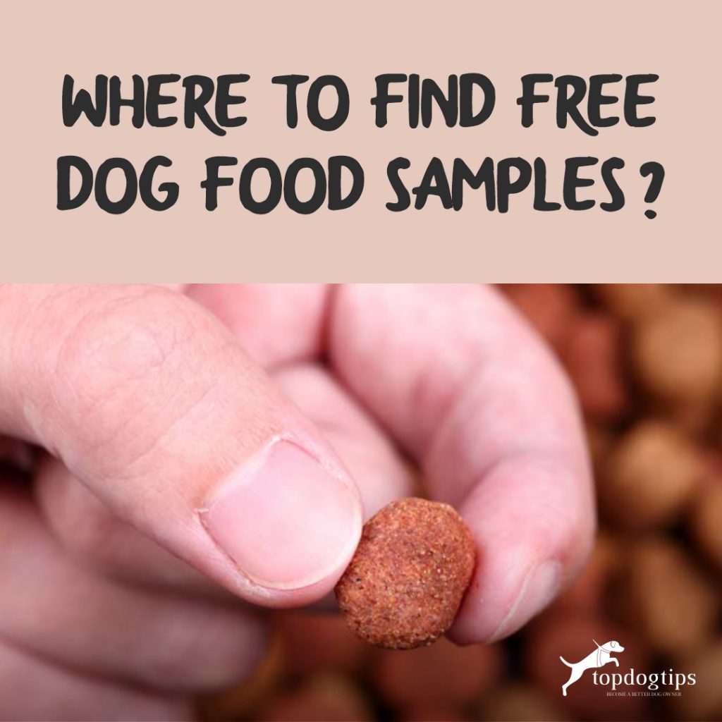 Where to Find FREE Dog Food Samples? Top Dog Tips