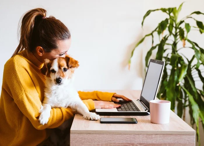 These Are The Top 6 Online Pet Medication Sites