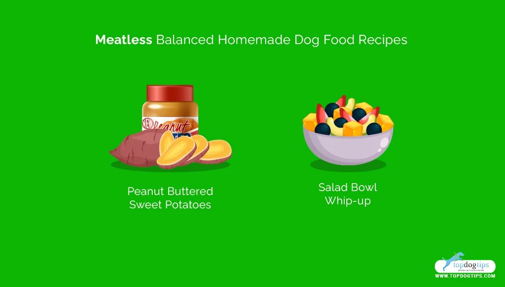 13 Balanced Homemade Dog Food Recipes Top Dog Tips