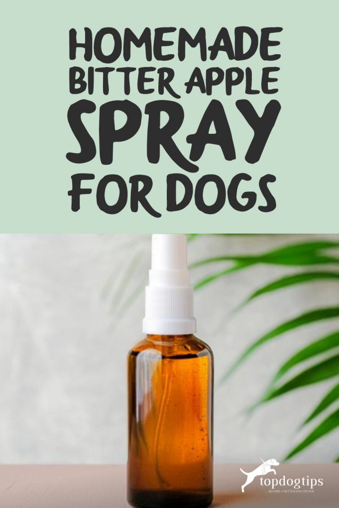 Homemade Bitter Apple Spray for Dogs Top Dog Tips