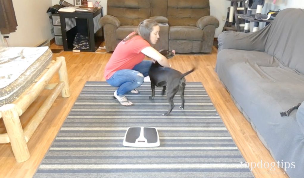 How Can I Weigh My Puppy At Home