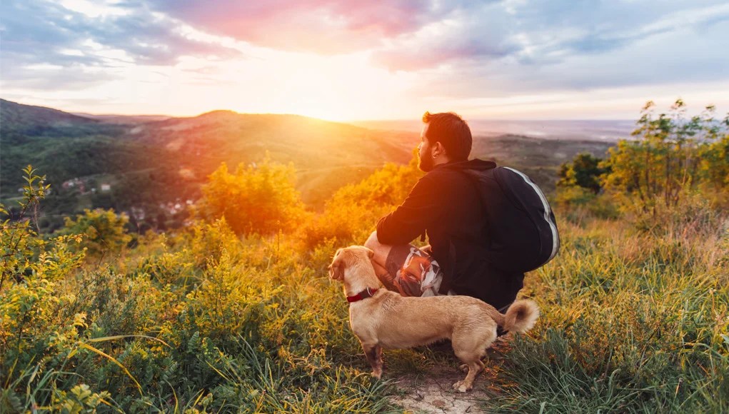 Top 7 Dogfriendly Vacation Destinations In The US to Enjoy with Your Dog