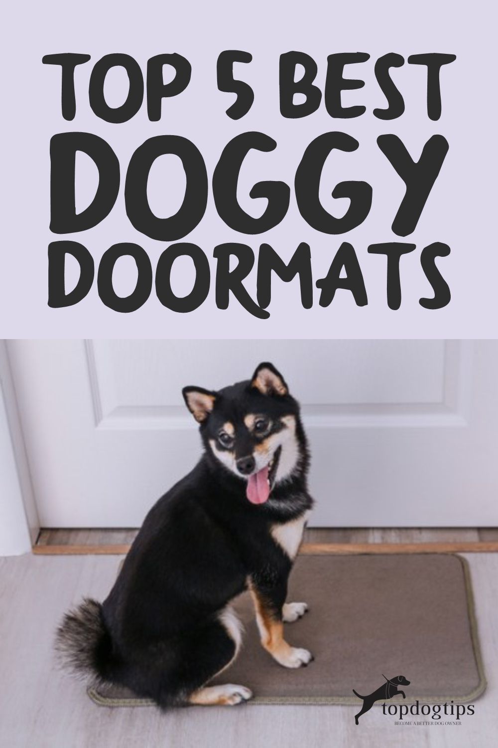 5 Best Doormats for Dogs Top Dog Mats for Muddy Paws