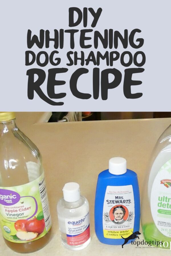 DIY Whitening Dog Shampoo Recipe Top Dog Tips