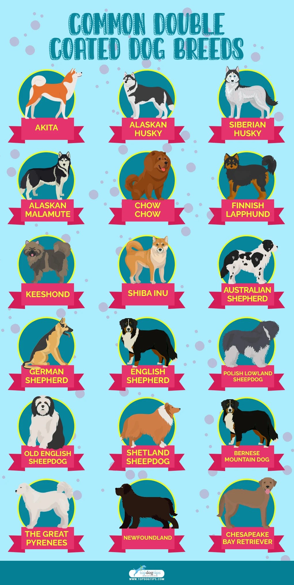 What Does Double Coated Dog Mean? Unraveling The FurOcious Secret!
