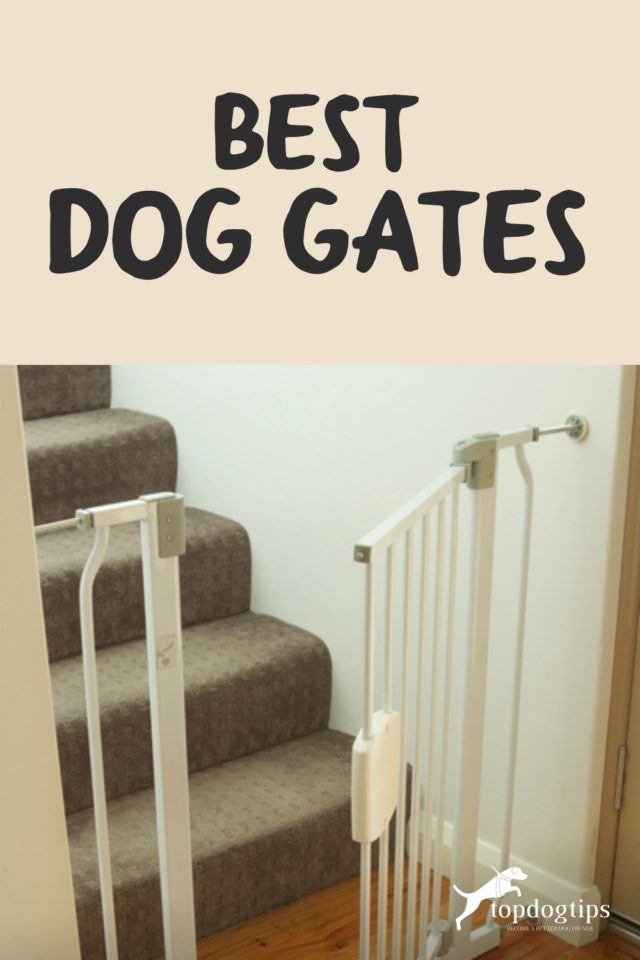 10 Best Dog Gates for Indoors & Outdoors in 2020 (A Buyer's Guide)