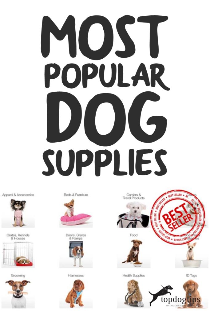 Most Popular Dog Supplies Top Dog Tips