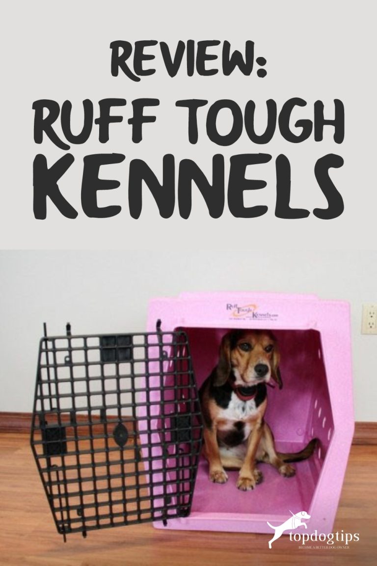 Ruff Tough Kennels Intermediate Single Door Kennel Review (2021)