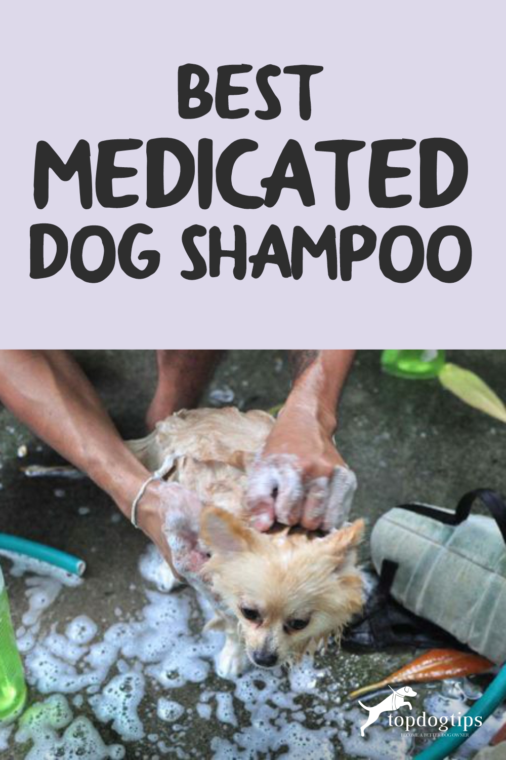 Top 5 Best Medicated Dog Shampoo Brands [Updated 2023]