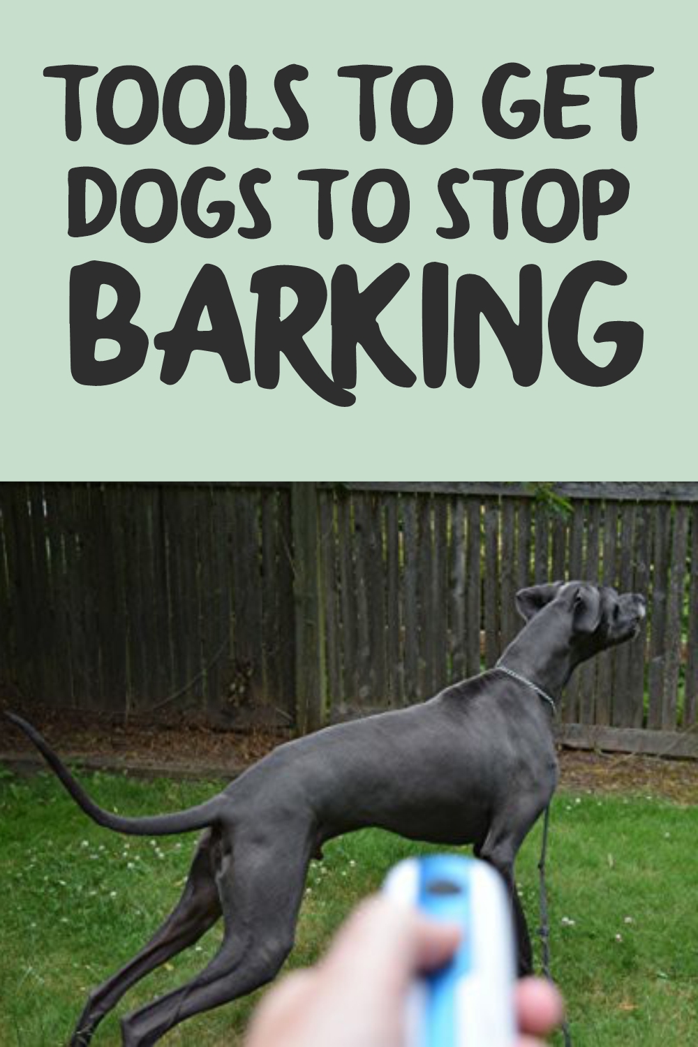 6 Humane Tools to Get Dogs to Stop Barking