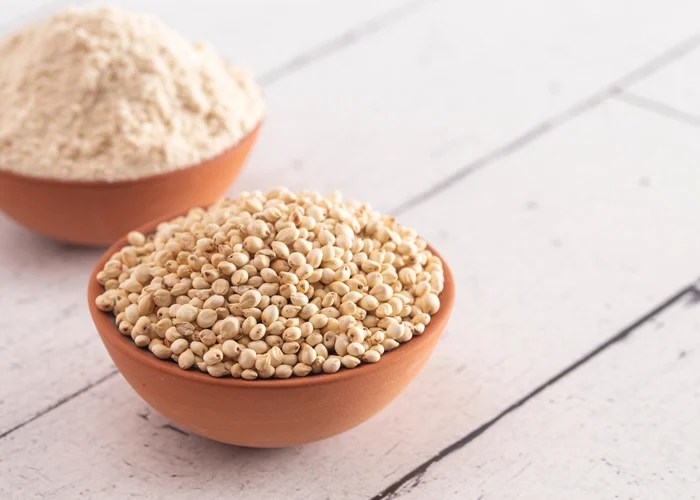 Different Kinds of Grains Your Dog Can Eat Top Dog Tips