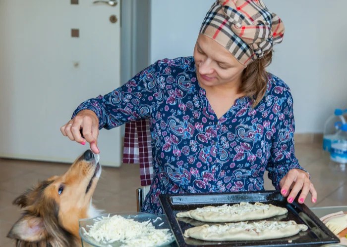 Ingredients in Homemade Dog Food The Do’s and Don’ts Top Dog Tips