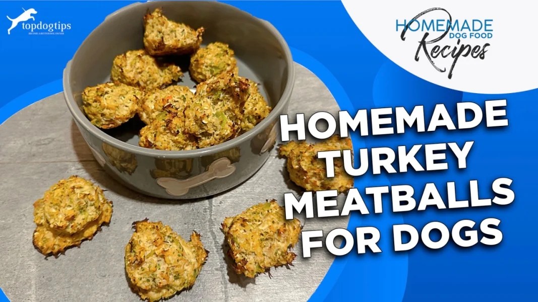 Recipe Homemade Turkey Meatballs for Dogs Top Dog Tips