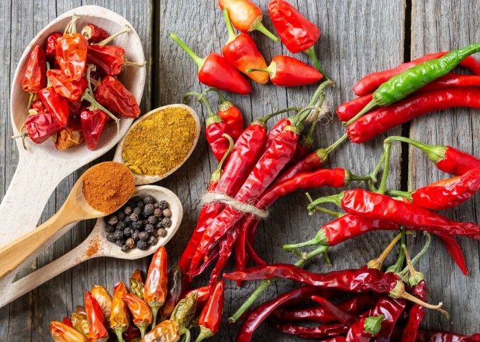 Can Dogs Eat Spicy Food? Top Dog Tips