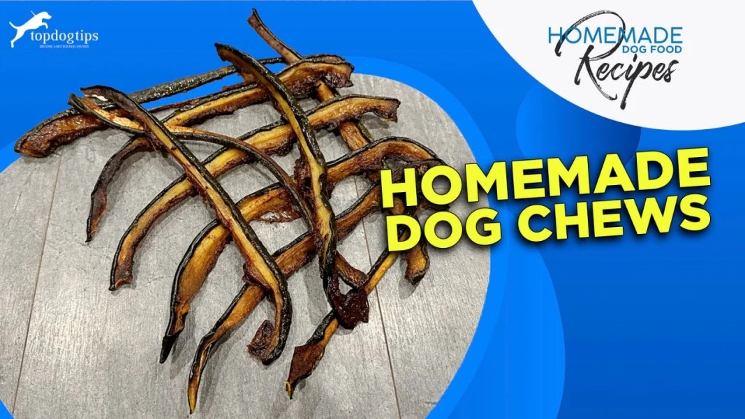 Recipe: Homemade DIY Dog Chews – Top Dog Tips
