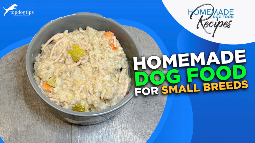 Recipe Dog Food for Small Breeds Top Dog Tips