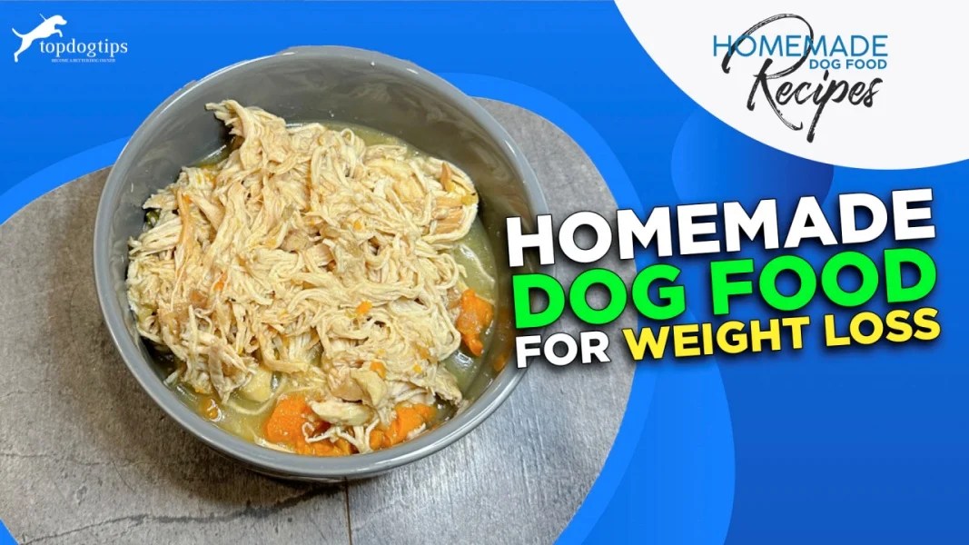 Recipe Homemade Dog Food for Weight Loss Top Dog Tips