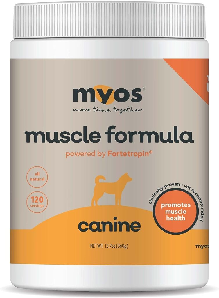 Muscle Builder for Dogs What It Is, How to Use It and Best Brands to Buy