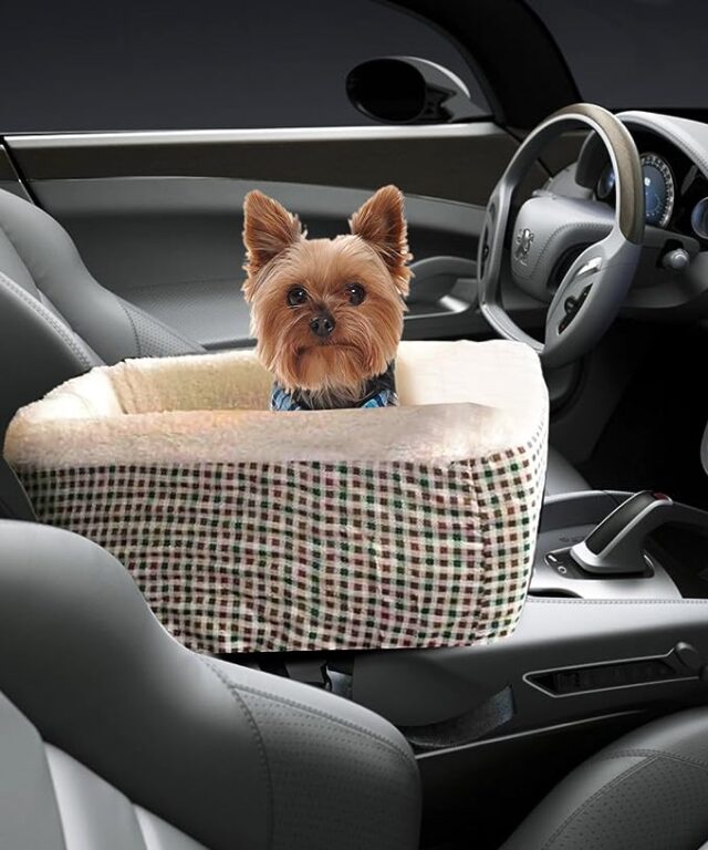 The Best Console Dog Car Seat Choices of 2020 (Car's Center Console)