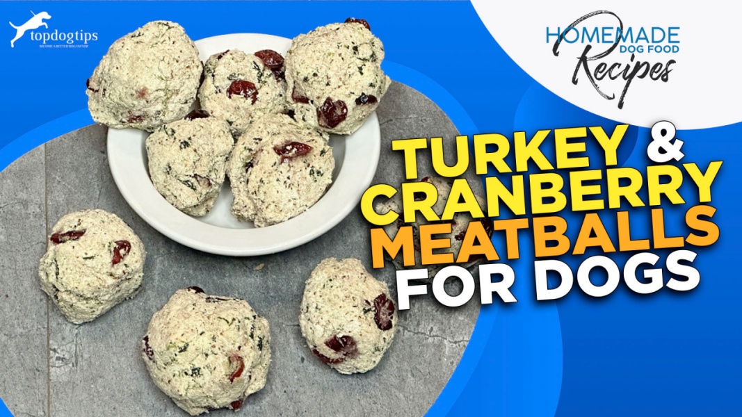 Recipe Turkey & Cranberry Meatballs for Dogs Top Dog Tips