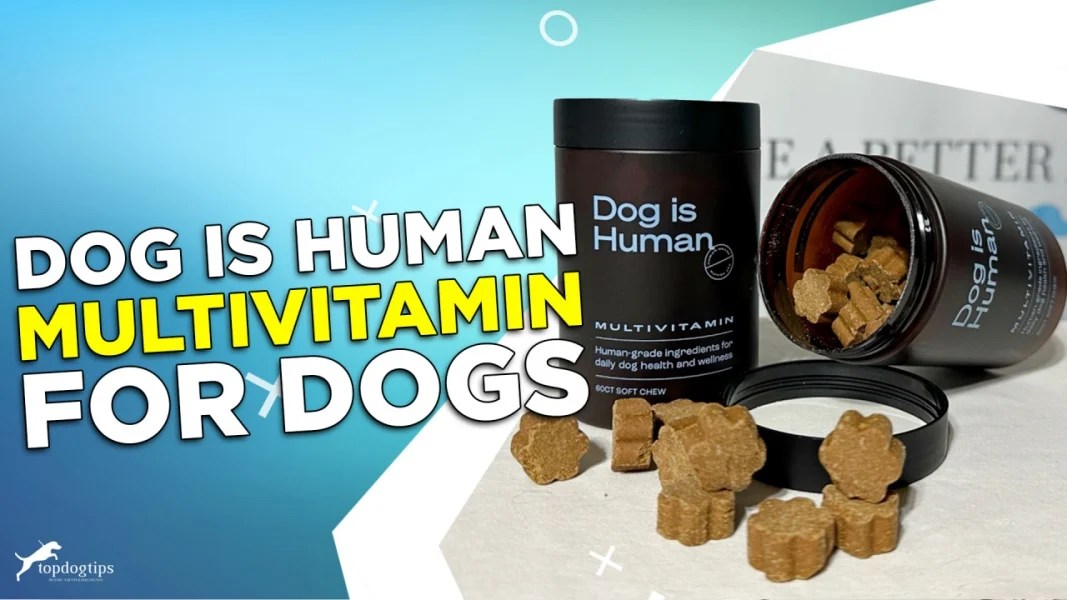 Review Dog Is Human Multivitamin for Dogs Top Dog Tips