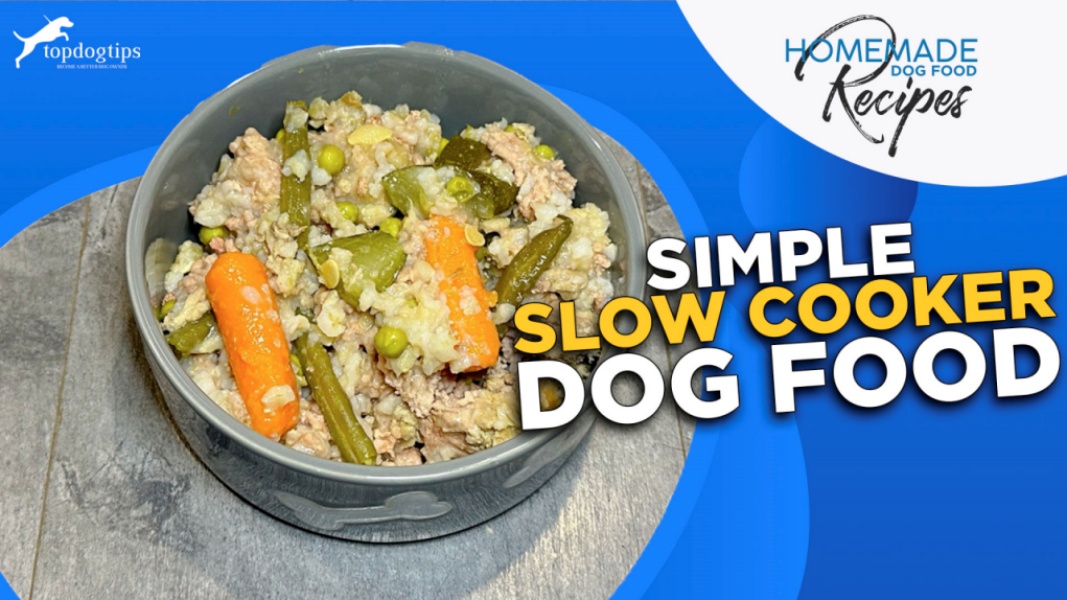 Recipe Simple Slow Cooker Dog Food Recipe Top Dog Tips