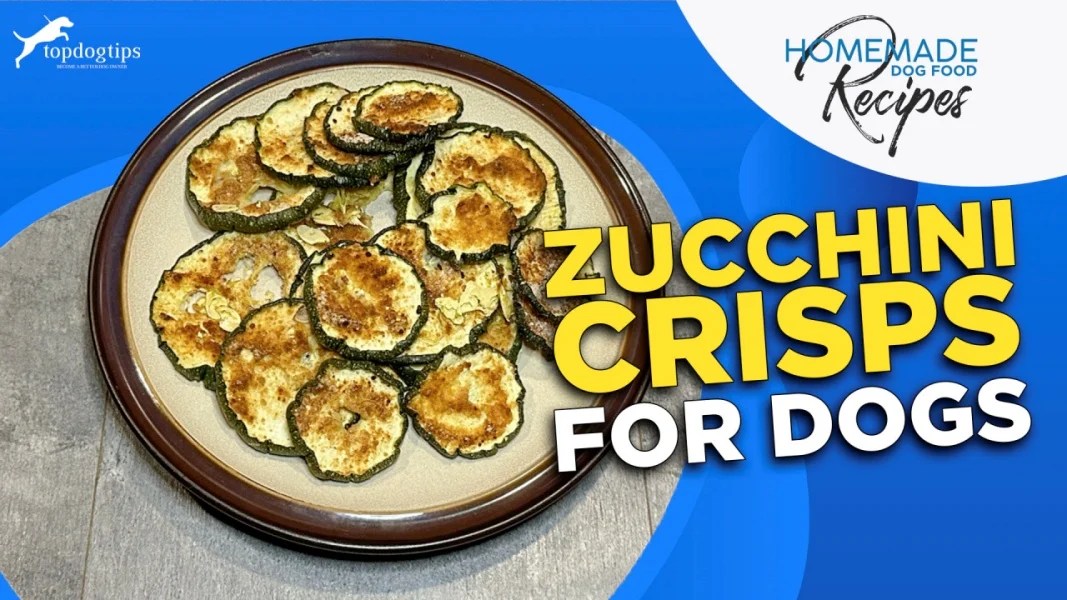 Recipe Zucchini Crisps for Dogs Top Dog Tips