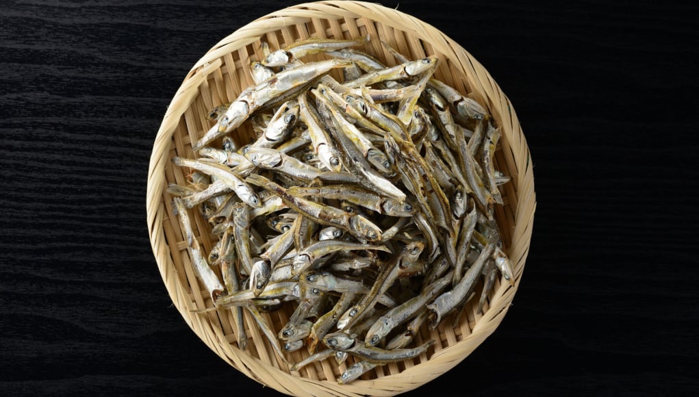 Can Dogs Eat Dried Fish? 6 Benefits + 3 Cautions