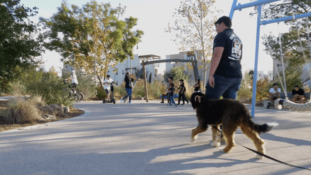 Top Dog Obedience Training Specialized Dog Training Services
