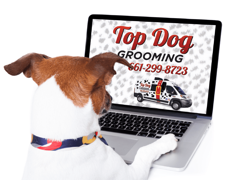 Services Top Dog Grooming