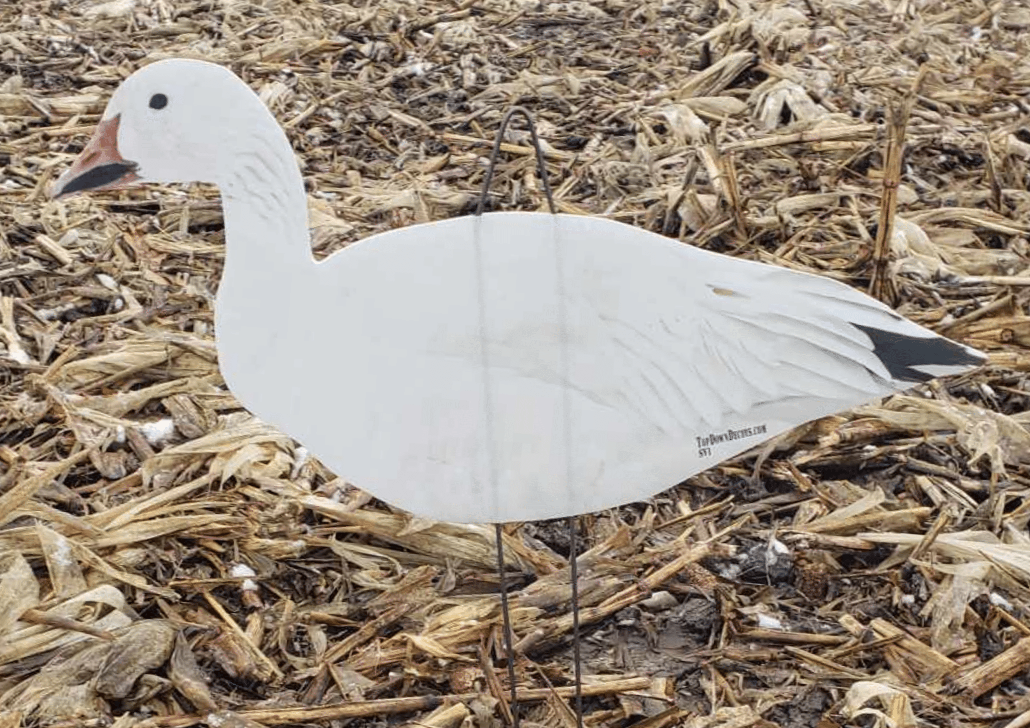 Top Down Decoys® Snow Goose Silhouette Decoy 1 in quality