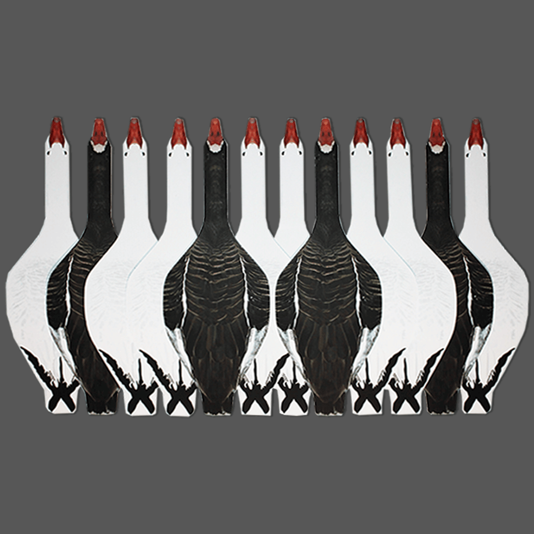 Reversible Decoy Specklebelly/Snow Goose Top Down