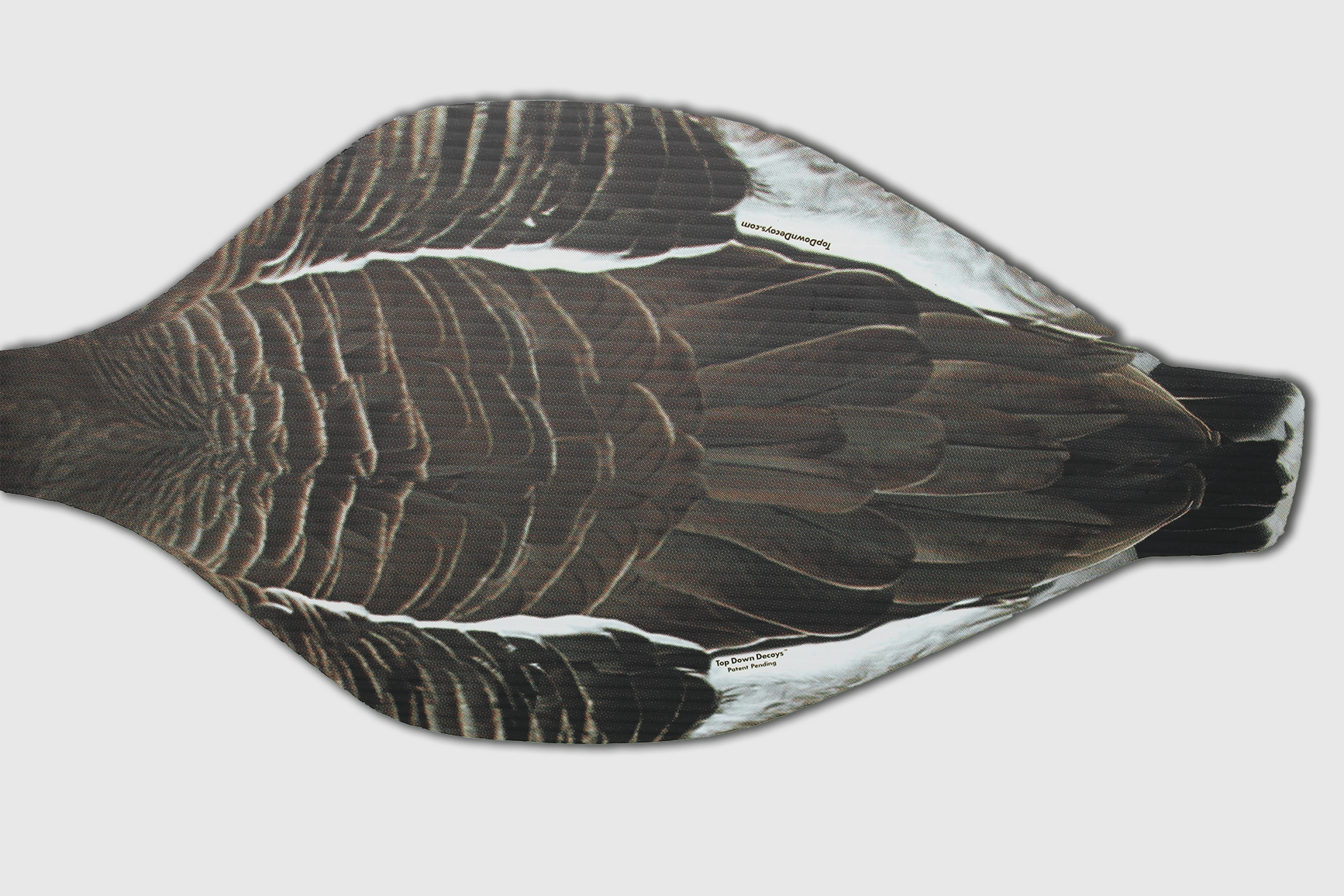 SBS1 Reversible Decoy Specklebelly Goose Snow Goose Top Down