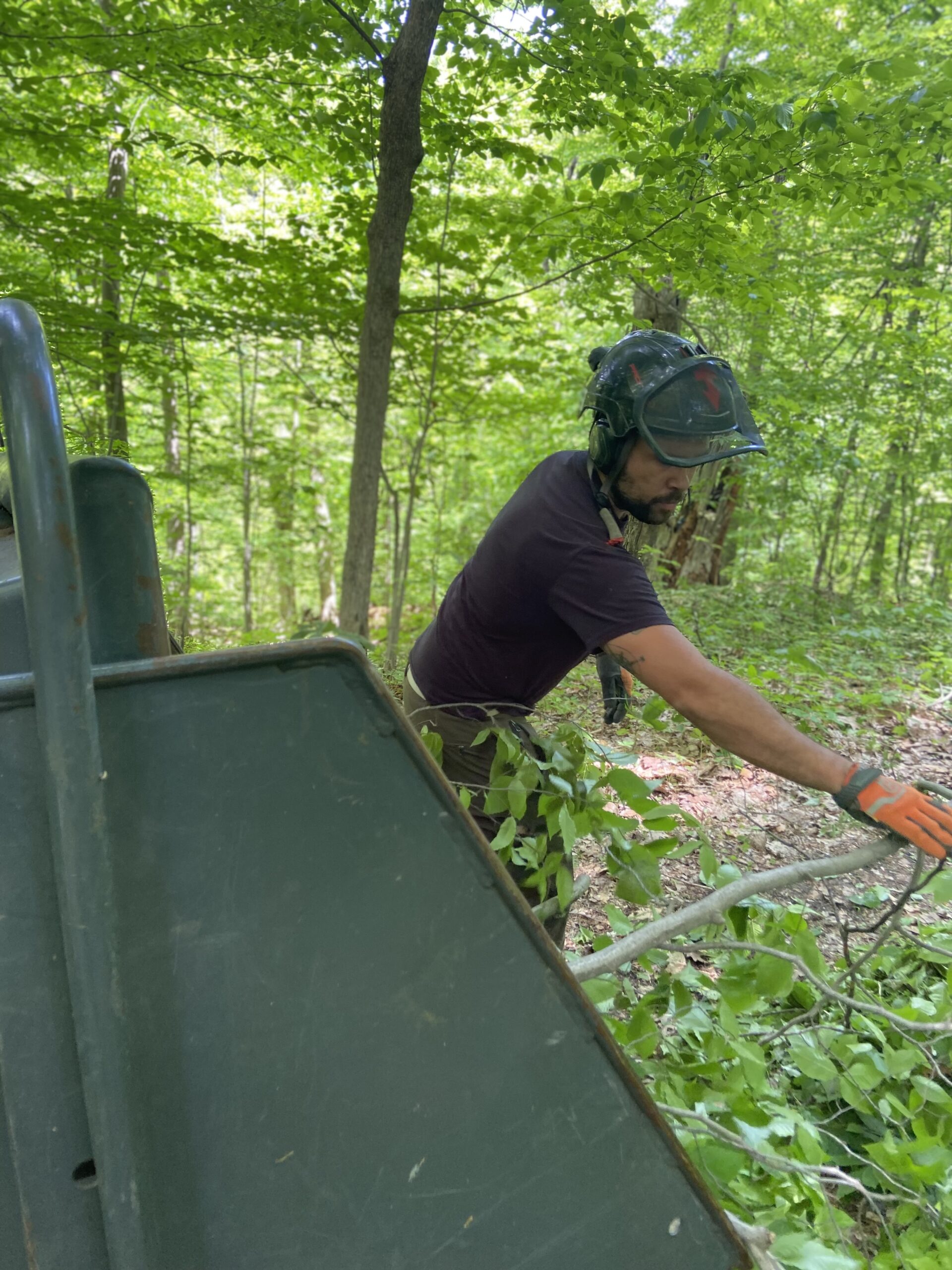 Brush Removal Top Down Trees LLC