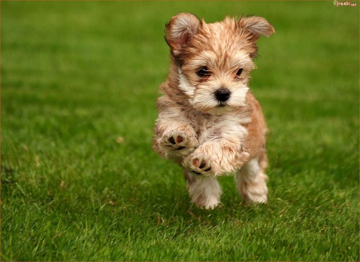 Cool Cute Animal Pics To Make You Smile 2022